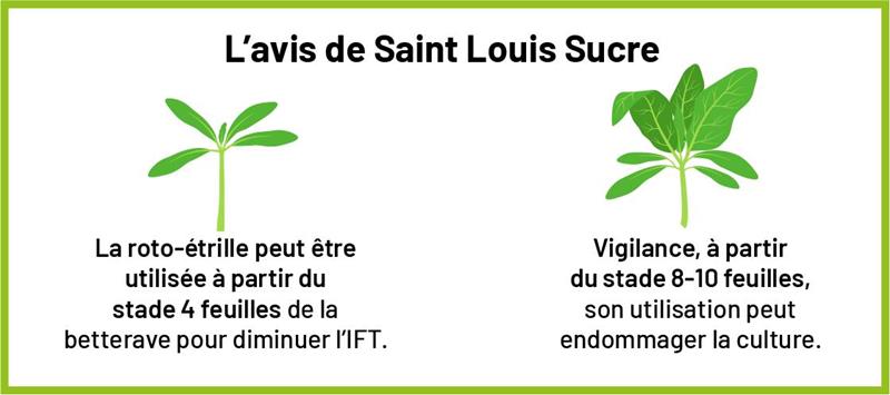 SAINT LOUIS SUCRE EST AGRÉÉ POUR LE CONSEIL À L’UTILISATION DES PRODUITS PHYTOPHARMACEUTIQUES (N° HN00104)