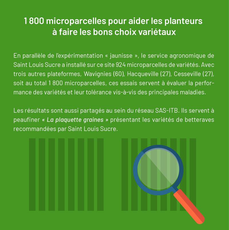 Saint Louis Sucre est agréé pour le conseil à l'utilisation des produits phytopharmaceutiques (N° HN00104)