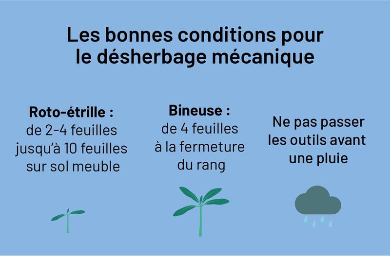 SAINT LOUIS SUCRE EST AGRÉÉ POUR LE CONSEIL À L’UTILISATION DES PRODUITS PHYTOPHARMACEUTIQUES (N° HN00104)