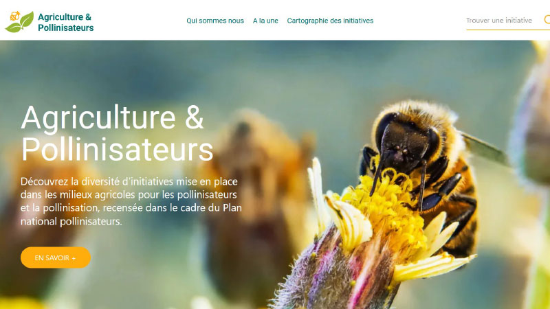 Consultez le site : <a href=\"http://contratsolutions-agriculture-pollinisateurs.fr/\">« Agriculture & Pollinisateurs »  </a>
