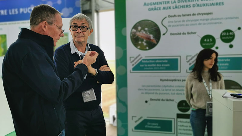 Henry Wattel, inspecteur de culture Saint Louis Sucre et Christian Heckeur, CEO de IF-Tech, société spécialisée dans les solutions de biocontrôle et qui élève les chrysopes.