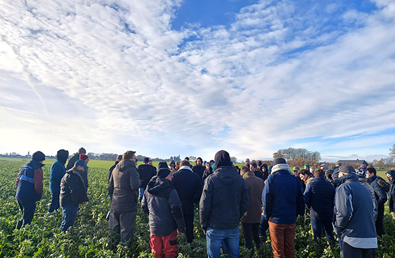 Journée technique du 15 décembre organisée près de Goderville (76) par Paul Robert de Novalis Terra à laquelle a participé le service agronomique de Saint Louis Sucre.