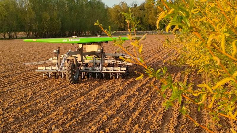 Près de 15 % de la surface betteravière est semé avec le robot FarmDroid.