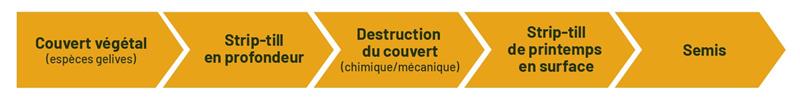 L’itinéraire technique en strip-till