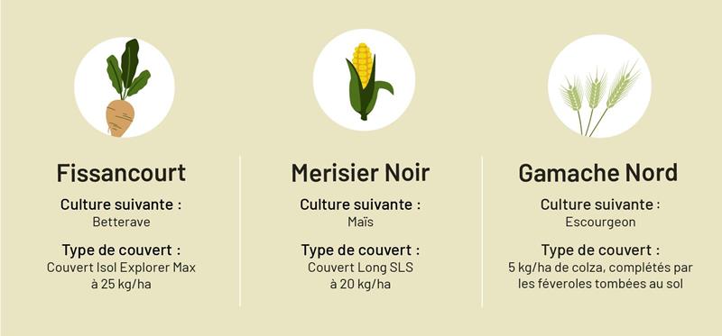 <a href=\"https://www.labetteraveonycroit.fr/articles/cultiver-la-betterave/semer-et-fertiliser/les-melanges-de-couverts-vegetaux-d-interculture-2026-466.html\">Les couverts végétaux Saint Louis Sucre</a>