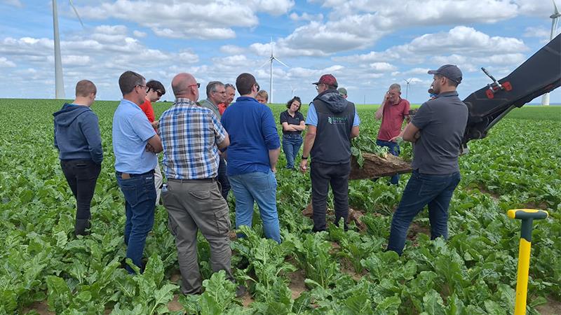 Outre les couverts végétaux, tous les thèmes agronomiques sont abordés avec les experts : solutions de désherbage, protection contre les ravageurs et les maladies ainsi que méthodes alternatives.