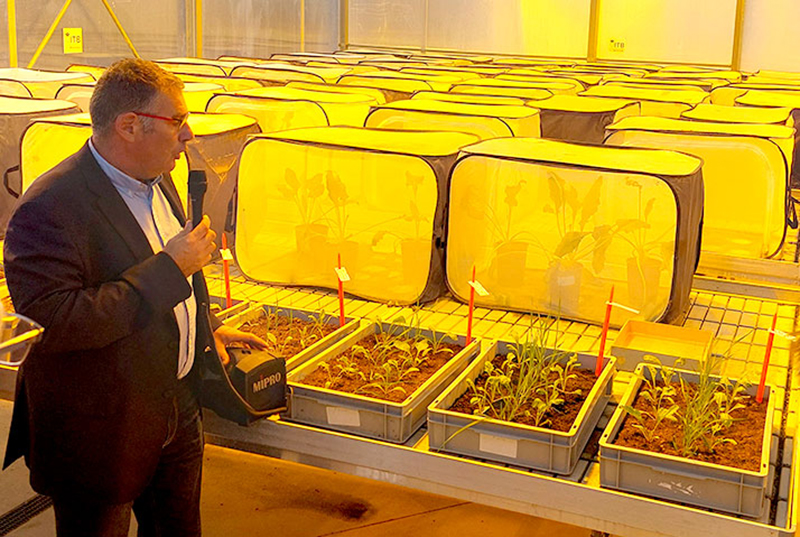 Ghislain Malatesta directeur du département expérimentation et expertises régionales de l’Institut Technique de la Betterave, au pôle PNRI du Griffon à Laon.