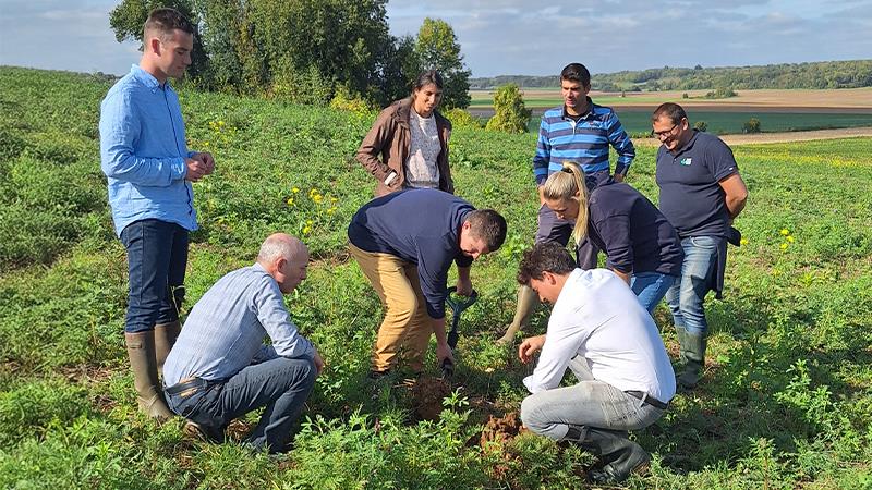 La formation terrain des inspecteurs de culture du secteur Normandie s’est tenue le 7 octobre, à Étrépagny sur la ferme agroécologique de Saint Louis Sucre puis chez Guillaume Moisy.