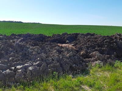 Riches en calcium, les écumes possèdent une valeur neutralisante et constituent un amendement minéral basique. En fin de campagne, le rôle du service logistique est de vérifier la qualité du produit avant la livraison aux planteurs.